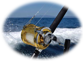 Corrosion Control-Salt-X Fishing Tackle